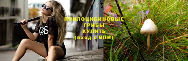 дурь Алексеевка