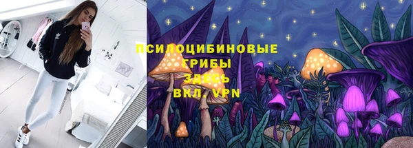 дурь Алексеевка