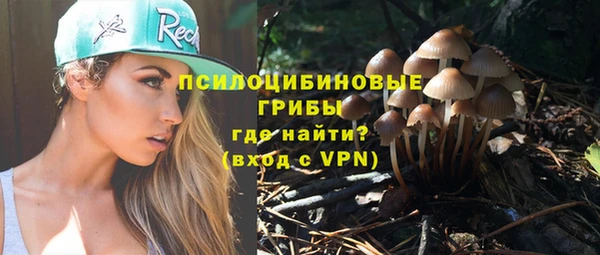 тгк Алексин