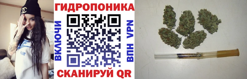 МАРИХУАНА SATIVA & INDICA  KRAKEN зеркало  Дно 
